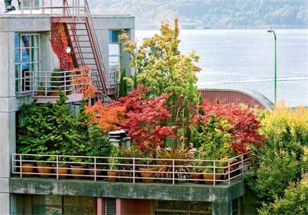 怎樣提升您家陽臺的整體效果