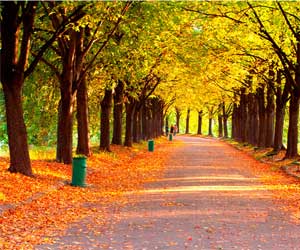 警惕秋季裝修“后遺癥” 否則問題就大了！