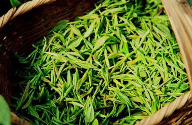 龍井茶產(chǎn)地在哪 龍井茶功效與作用