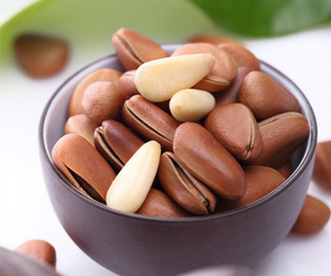 松子和榛子是一樣的嗎？