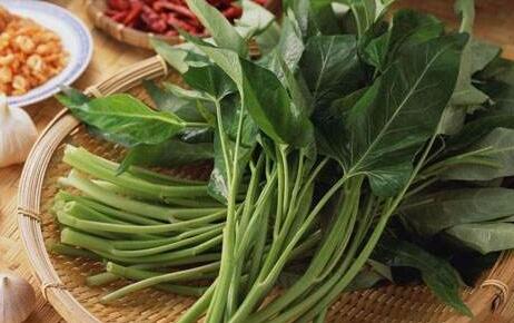 多吃清熱去濕的涼性蔬菜 