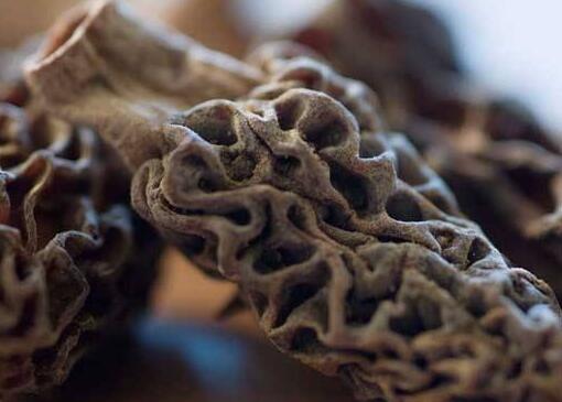 羊肚菌的泡發(fā)方法