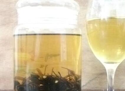 虎頭蜂酒怎么樣？有哪些功效呢？